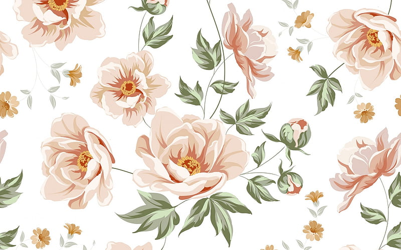 Texture, peony, green, flower, white, pink, HD wallpaper
