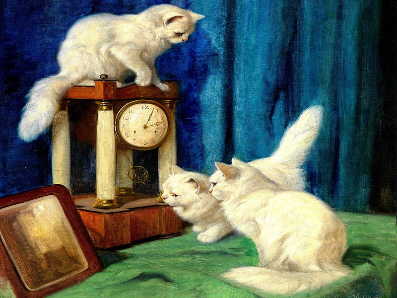 THREE WHITE KITTIES, painting, curious, white, cornelis raaphorst, cats, play, HD wallpaper
