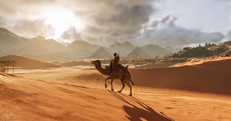 Camel Assassins Creed Origins , assassins-creed-origins, assassins-creed, games, xbox-games, ps-games, pc-games, 2019-games, camel, HD wallpaper