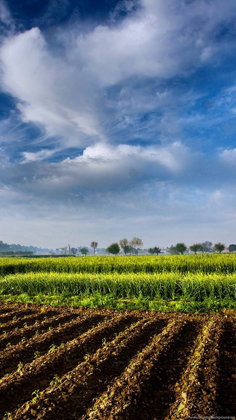 Pakistan Landscape, agriculture, farm, green, land, landscape, nature, pak, pakistan, pakistani, HD phone wallpaper