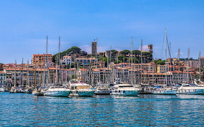 Cannes, Ligurian Sea, summer, bay, luxury yacht, parking, Mediterranean Sea, France, HD wallpaper