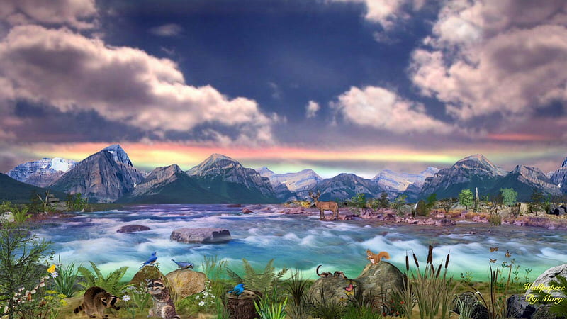 Rainbow Sunset 1600x900, water, racoons, sunsets, mountains, birds, ponds, deer, HD wallpaper