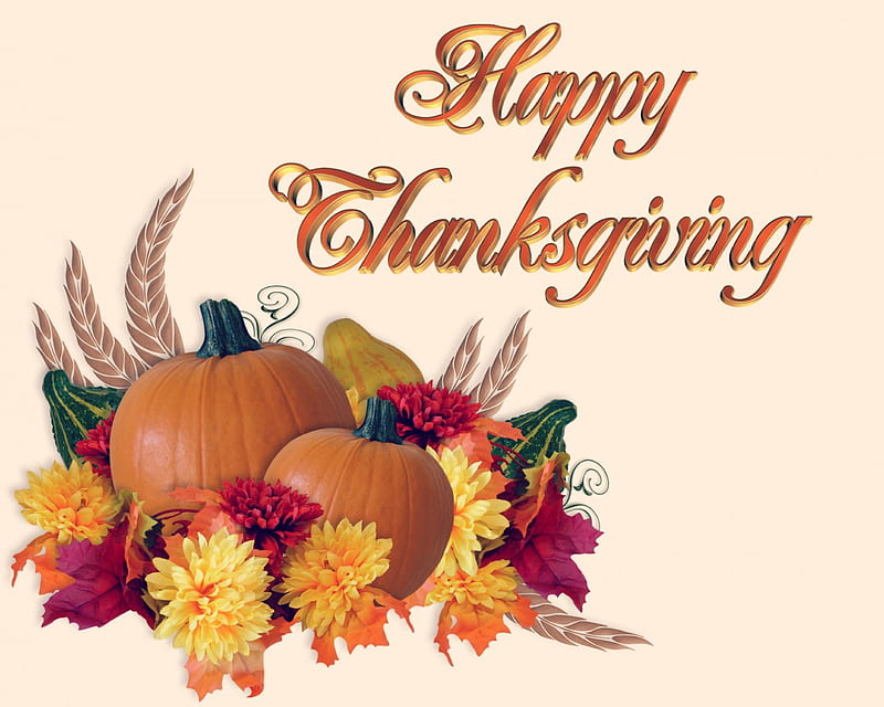 Happy Thanksgiving, Fall, Thanksgiving, flowers, Autumn, pumpkins, HD