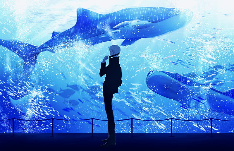 Anime, Jujutsu Kaisen, Aquarium, Boy, Satoru Gojo, Whale, White Hair, HD wallpaper