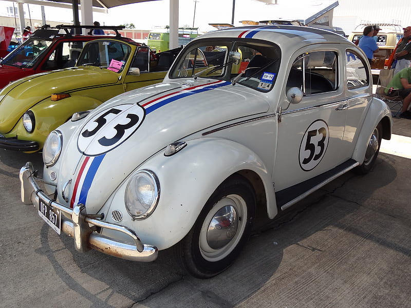 Herbie: The Love Bug, VW, Herbie, The Love Bug, Volkswagen, HD wallpaper