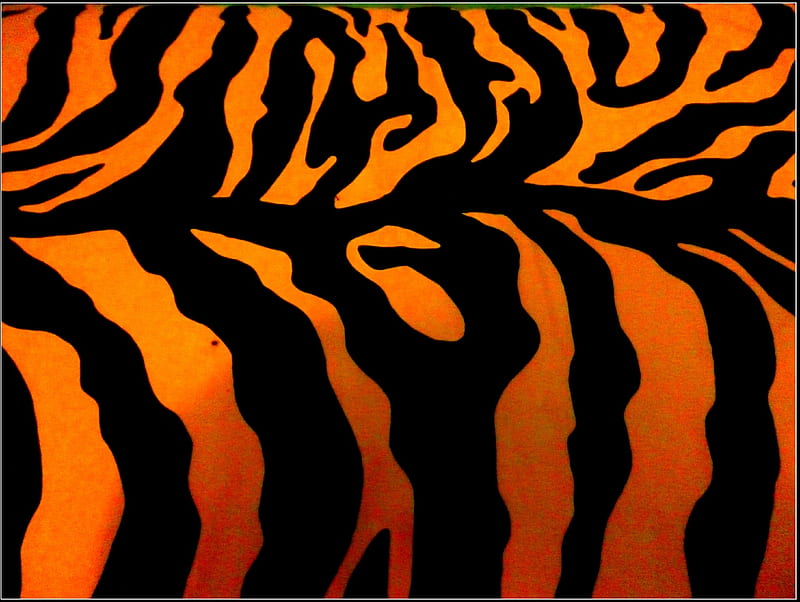 Stripes and tigers, art, stripes, black and orange, abstract, grapy, HD wallpaper