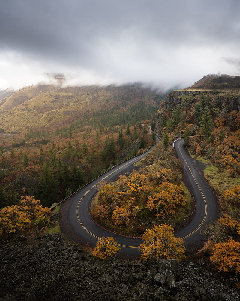 road, trees, curve, autumn, nature, HD phone wallpaper