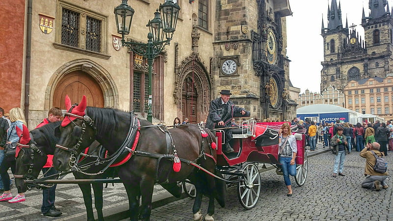 Horse Cab, Carriage, Old town, Red, Horses, Taxi, HD wallpaper