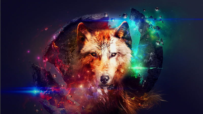 Fractured Wolf, glass, stars, fractured, shattered, wolf, abstract, Firefox Persona theme, light, HD wallpaper