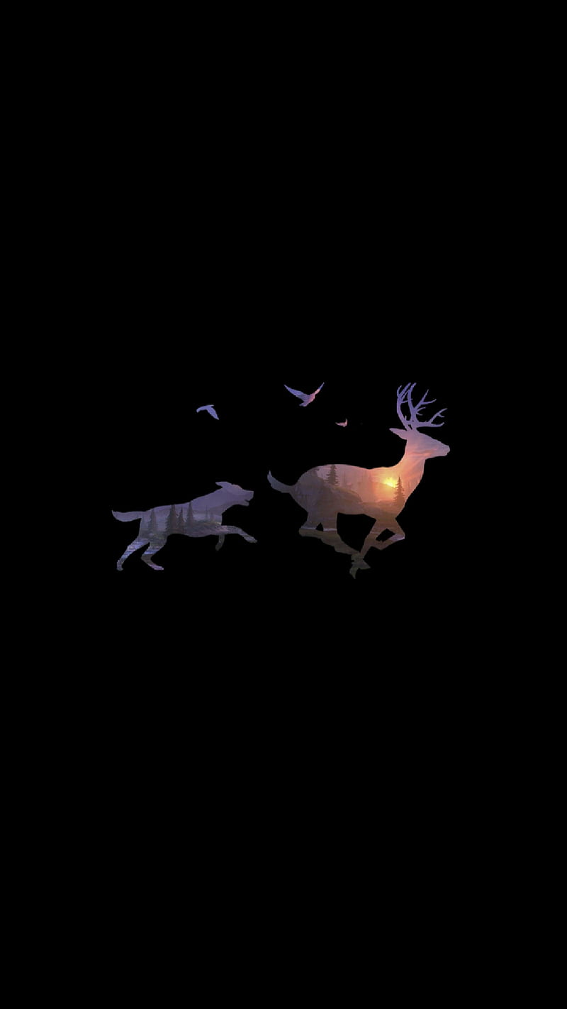 Deer and Dog, hunt, hunting, get him, chase, fall, winter, HD phone wallpaper