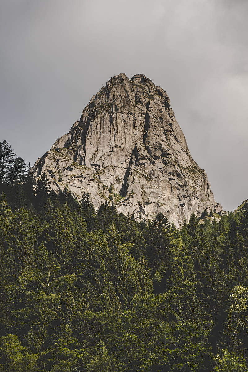mountain, rock, peak, forest, trees, HD phone wallpaper
