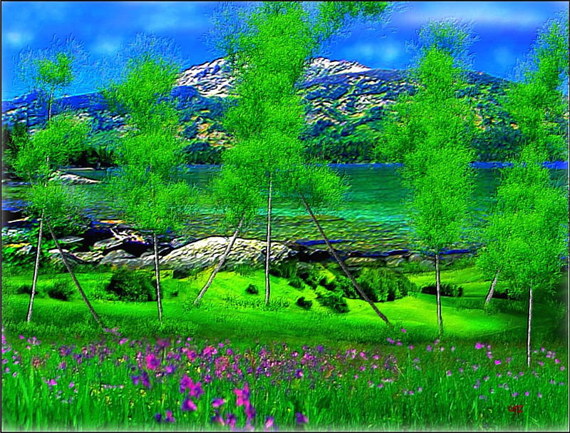 Lago esmeralda, pasion, color, lago, vista, HD wallpaper