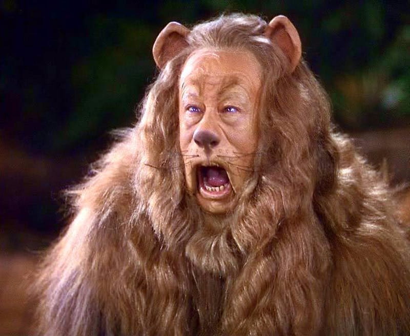 Cowardly Lion In Wizard Of Oz, Cowardly, Wizard, Movies, Lion, Oz, HD wallpaper