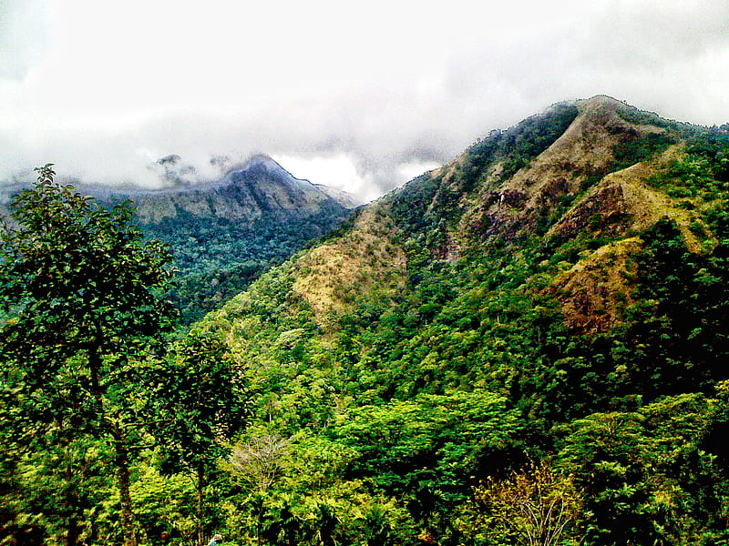 Greeny Mountains, mountain, forest, big, trees, clouds, huge, sky, HD wallpaper