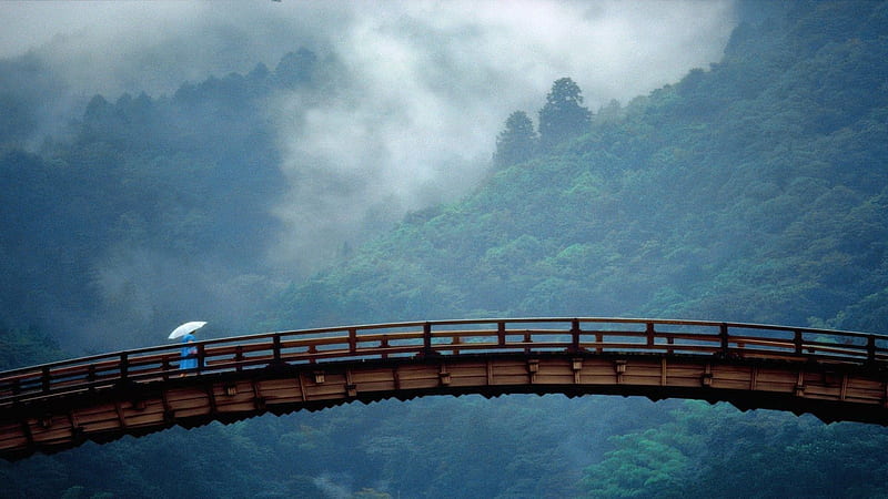Bridge Between Trees Covered Mountains With Fog Japanese, HD wallpaper