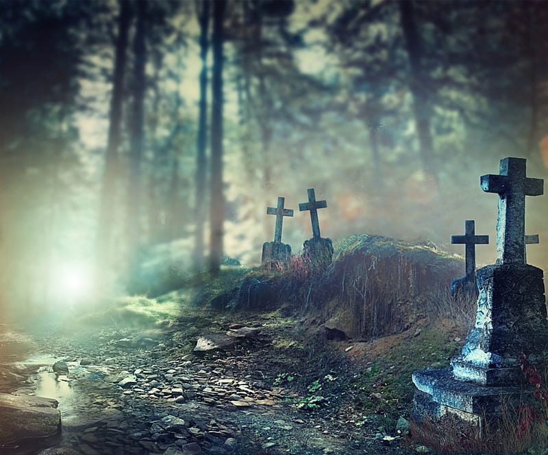 fantasy, spooky, trees, cemetery, HD wallpaper