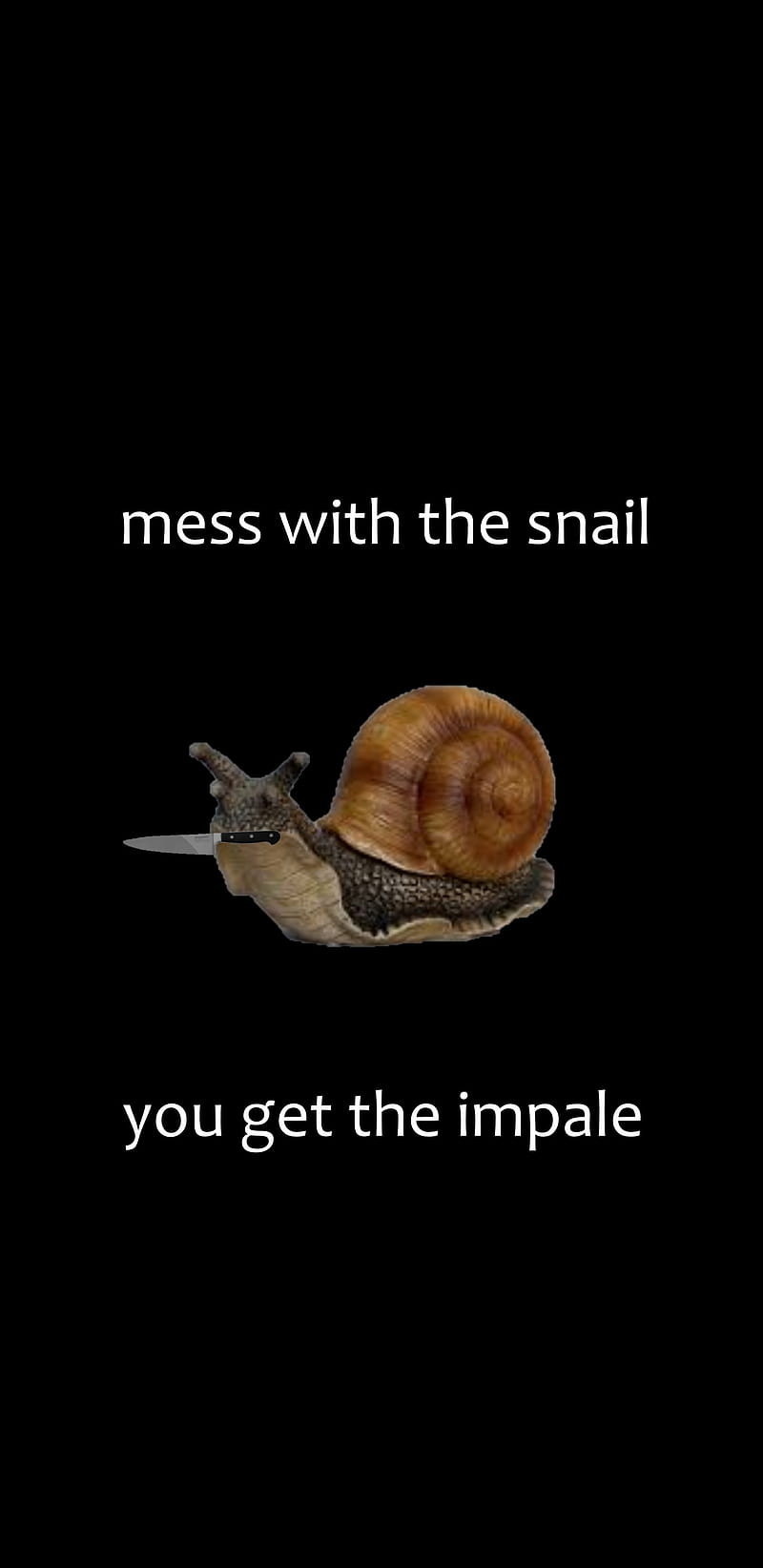 snail, impale, knife, HD phone wallpaper