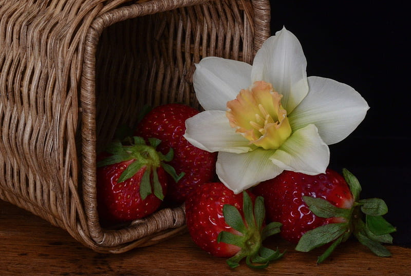 *** Narcissus and strawberries ***, strawberries, narcissus, flowers, nature, HD wallpaper