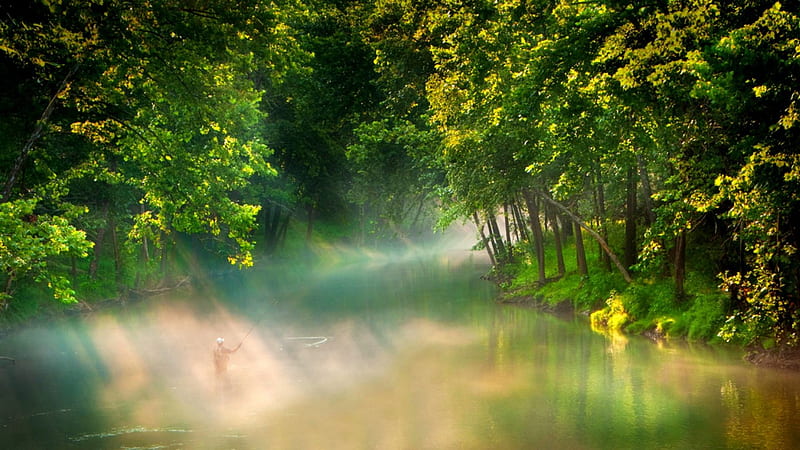 FISHING MOMENT, forest, sunlight, nature, river, morning, man, fog ...