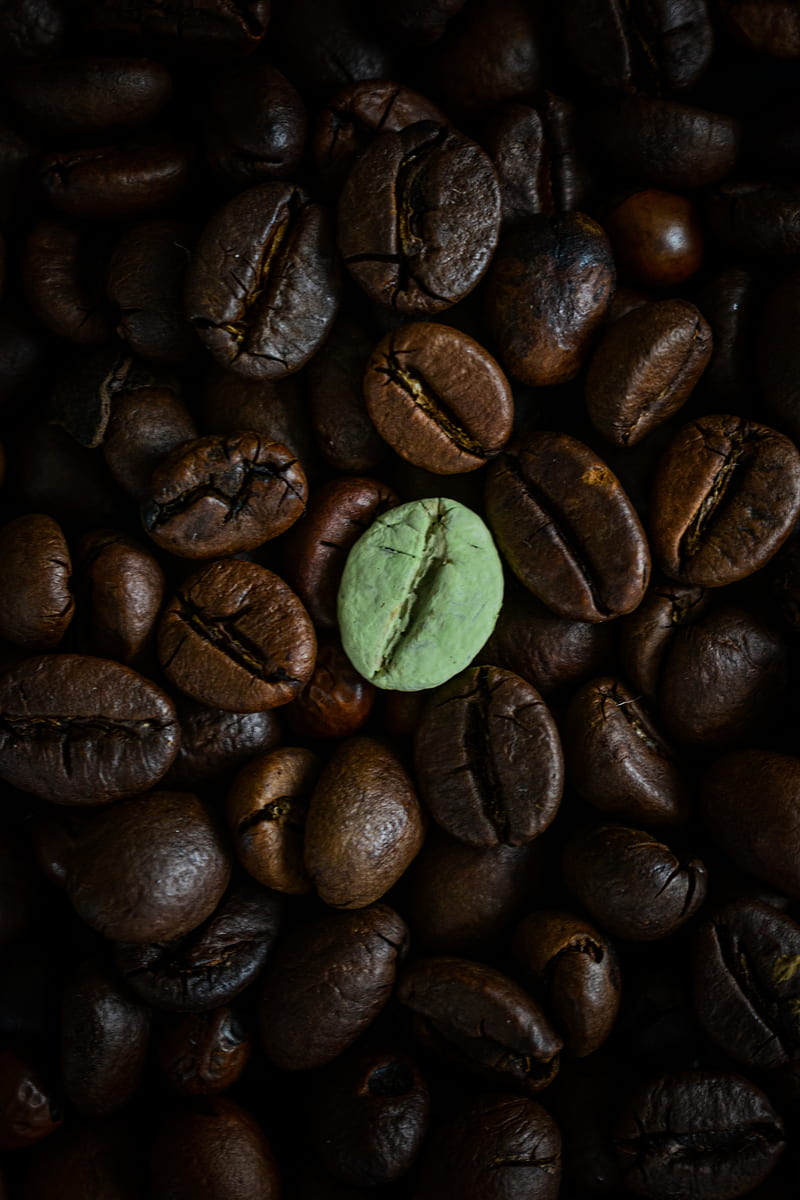coffee beans, beans, brown, macro, HD phone wallpaper