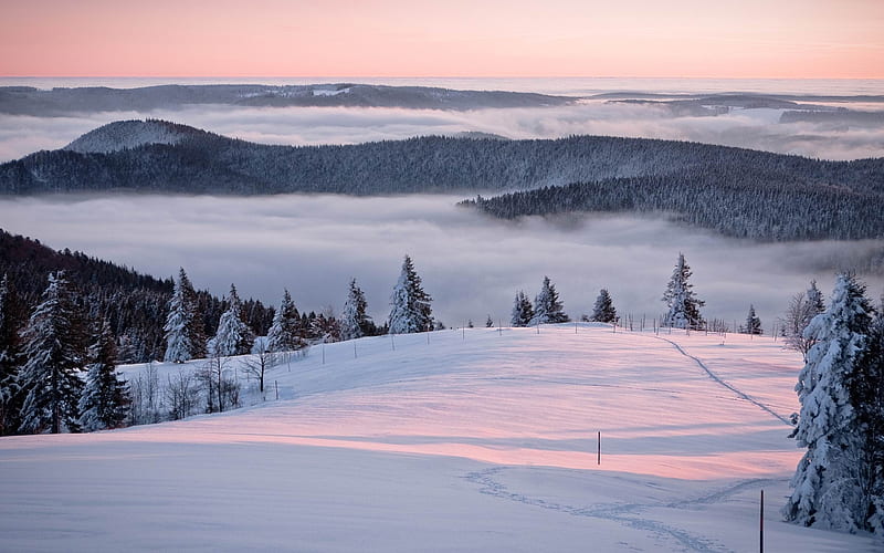 sea of clouds-winter natural landscape, HD wallpaper