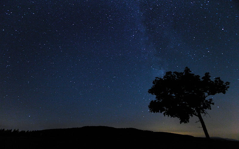 tree, silhouette, night, stars, starry sky, HD wallpaper