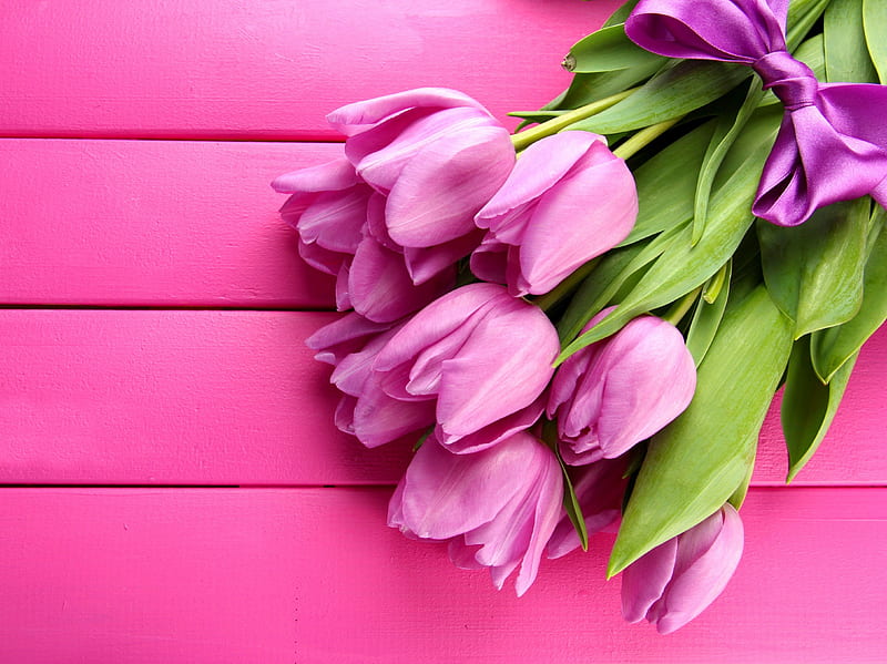 Tulipanes rosados, ramo, fresco, flores, bonito, arco, tulipanes, rosa,  Fondo de pantalla HD | Peakpx