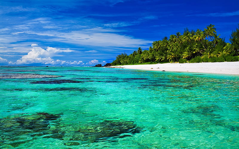 Tropical island, paradise, beach, ocean, summer, vacation, waves, HD wallpaper