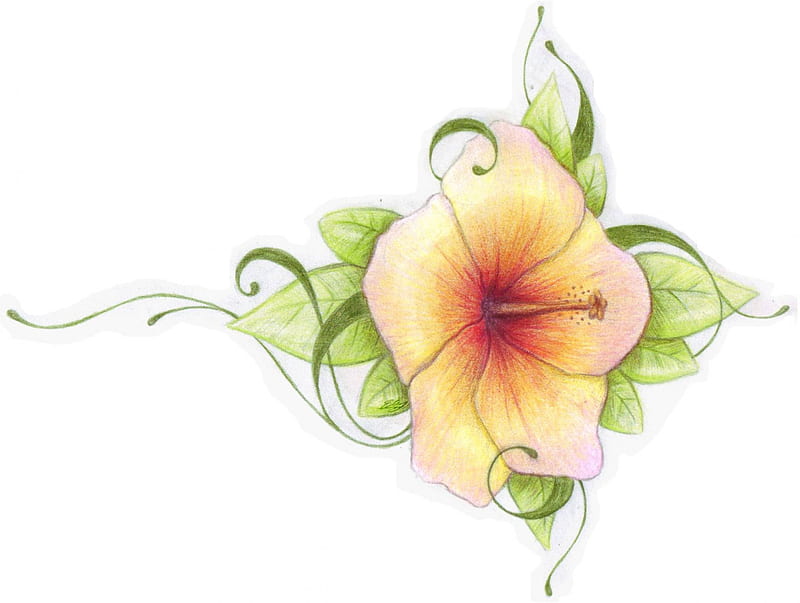 1080P free download | Artsy Hibiscus Flower, art, hibiscus flower, HD