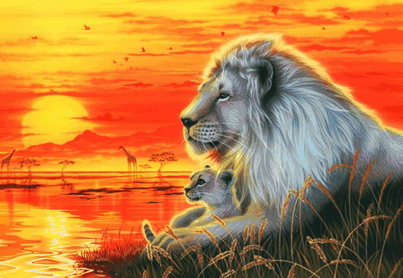 Lions Artwork, sun, cub, sunset, lake, father, HD wallpaper