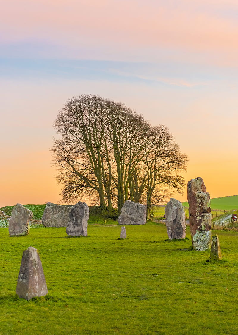 Stone Near Tree, HD phone wallpaper