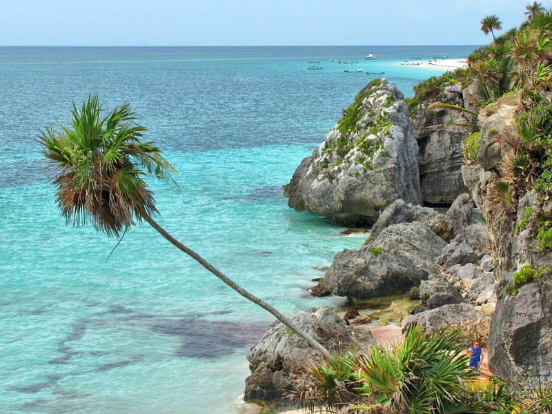 Tulum beach, beach, mexico, ocean, tulum, nature, palm, cliff, blue, HD wallpaper