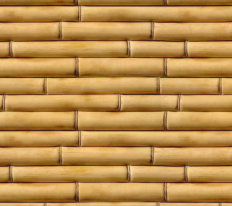 Bamboo, texture, HD wallpaper