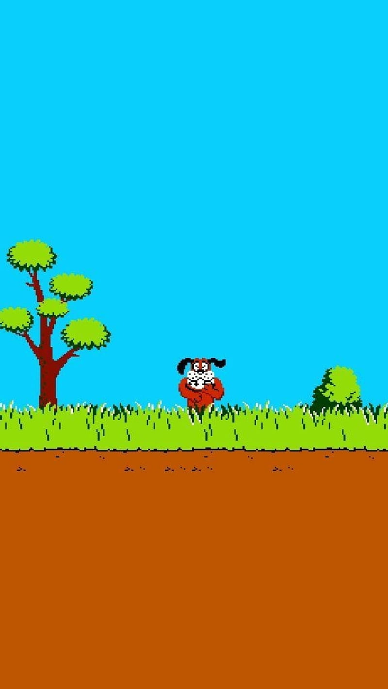 Duck Hunting Backgrounds 48 images