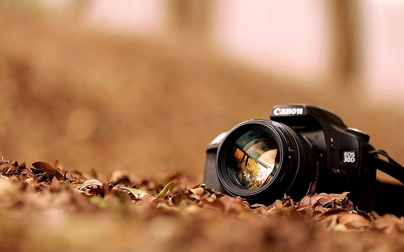 Canon EOS30D-Brand, HD wallpaper