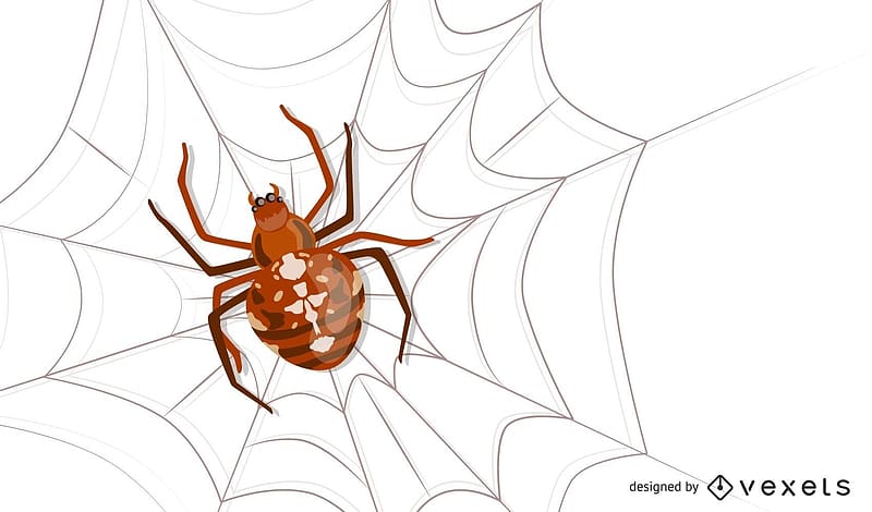 Spider, halloween, paianjen, brown, white, vexels, web, HD wallpaper