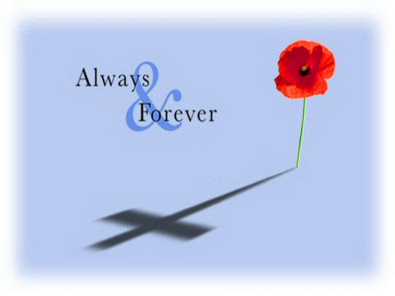 Always, poppy, red, cross, Remembrance day, HD wallpaper