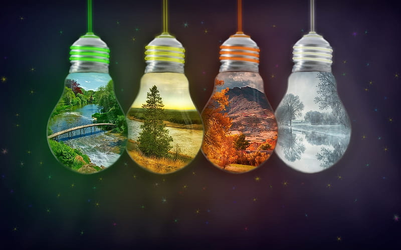 4 seasons concept, light bulbs, spring, summer, autumn, winter, HD wallpaper