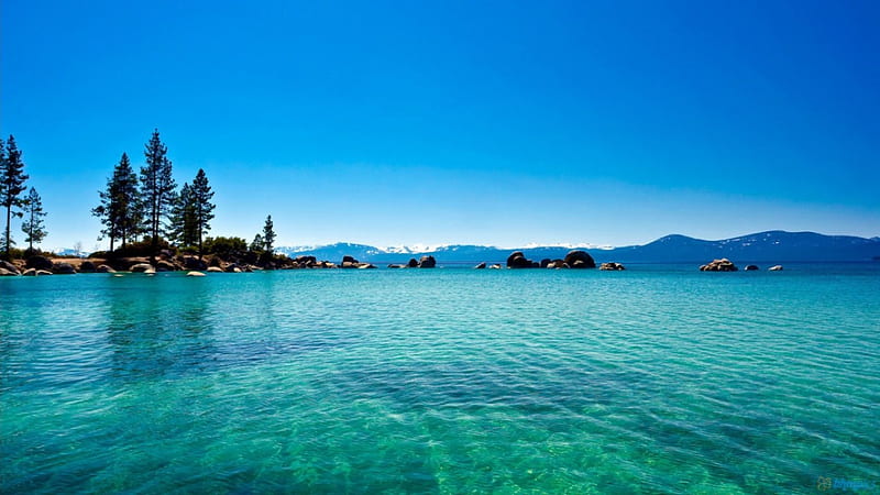 Lake Tahoe, water, clear, nature, teal, sky, lake, blue, HD wallpaper