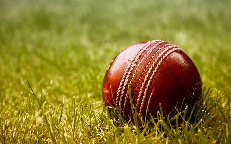 Cricket ball, ball, grass, field, cricket, HD wallpaper | Peakpx