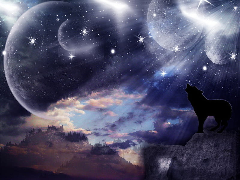 Howling wolf, stars, moon, full moon, wolf, howl, clouds, sky, night, HD wallpaper