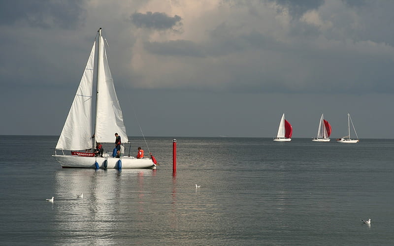 Sailboats by Gdansk, Poland, Poland, seascape, sea, sailboats, HD wallpaper