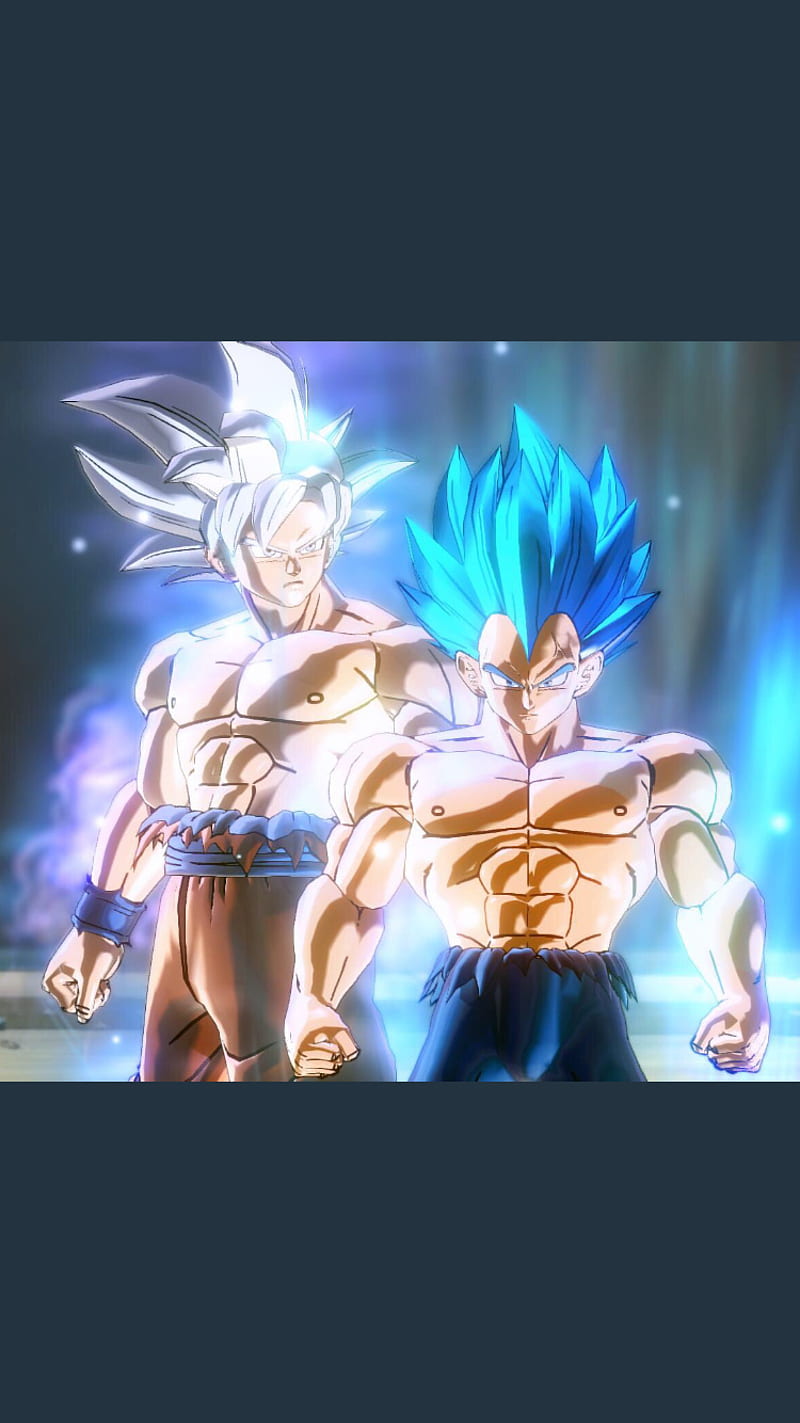 Ultra Instinct Goku VS Super Saiyan Blue Evolution Vegeta