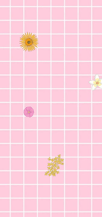 Soft flowers, pastel, pink, HD phone wallpaper | Peakpx