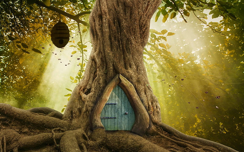 House in Tree, house, tree, beehive, door, HD wallpaper