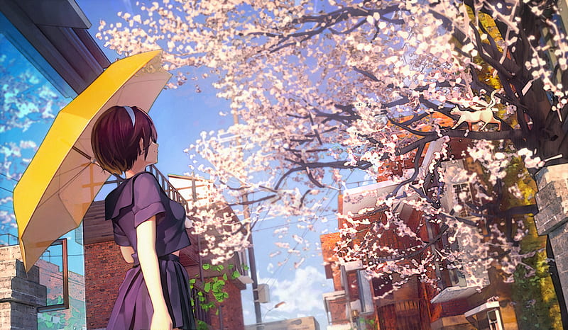 Anime, Original, Cherry Blossom, Moon, HD wallpaper | Peakpx