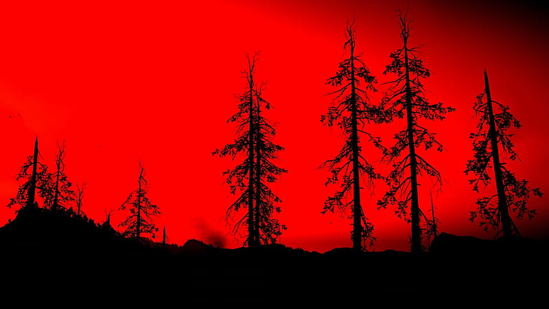 Far cry new dawn, red sky, forest, darkness, Games, HD wallpaper | Peakpx