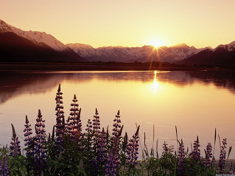 Chugach State Park, Alaska, alaska, mountains, national park, sunset, lake, HD wallpaper