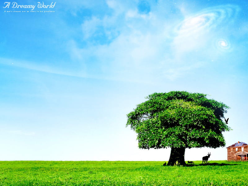 Favourite Green Place !!!, gree, home, abstract, sky, animal, tree, graphy, bird, field, blue, HD wallpaper