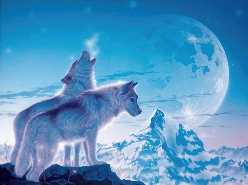 HOWLING WOLVES, BLUE, WINTER, HOWLING, WHITE, WOLVES, MOUNTAINS, HD wallpaper